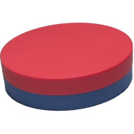 Iskolai taneszköz mágnes korong d52 mm x 14 mm Iskolai taneszköz mágnes korong d52 mm x 14 mm