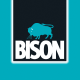 BISON Grizzly Szuper erős szöveterősített ragasztószalag, medencék, medence takaró fóliák ideiglenes javításához