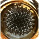 Ferrofluid